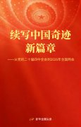 续写中国奇迹新篇章——从党的二十